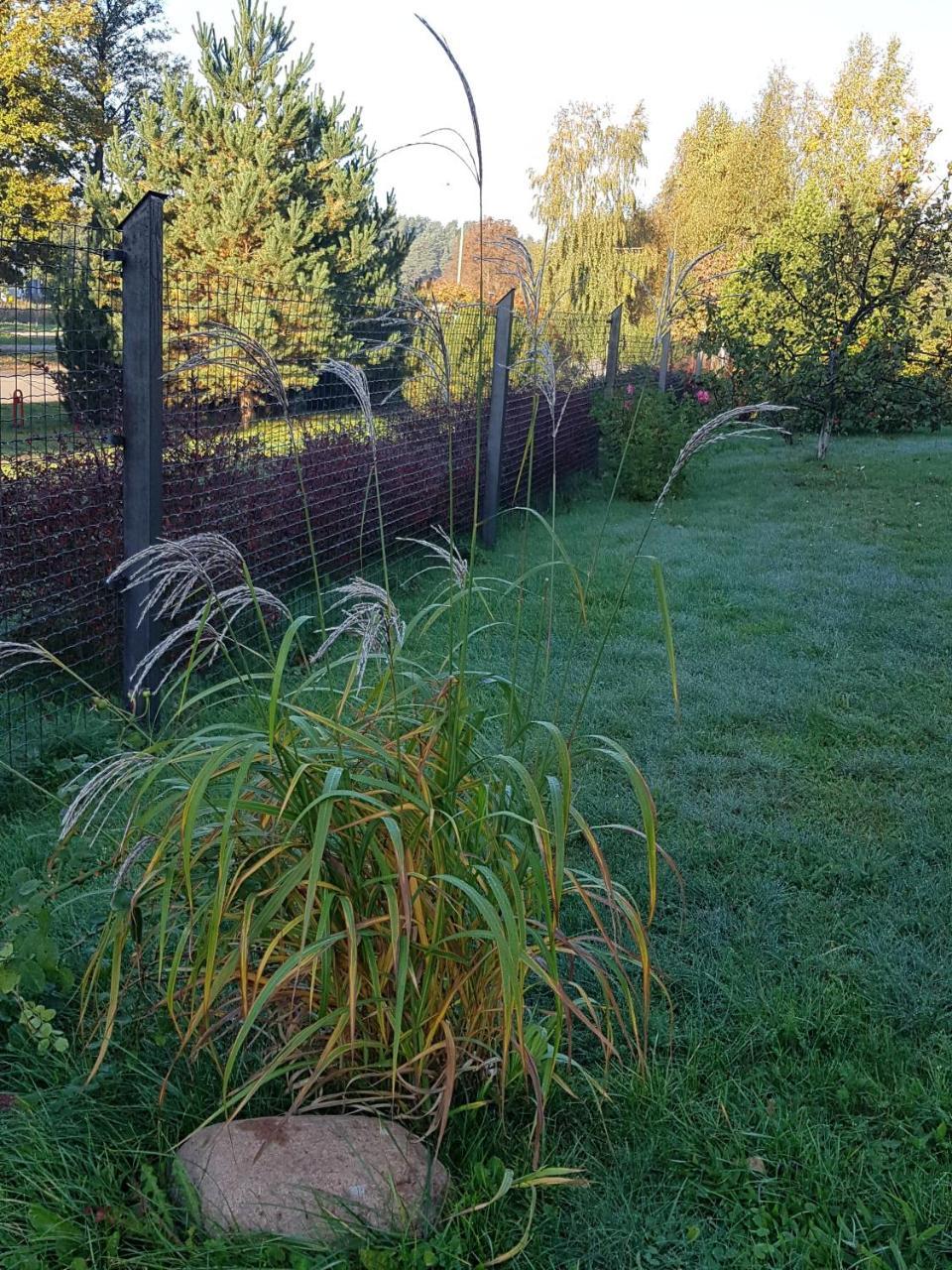 Vila Elvina Palanga Exteriör bild